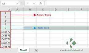 Microsoft excel merupakan bagian dari microsoft office yang berfungsi untuk pengolahan data dalam bentuk angka maupun perhitungan. Pengertian Cell Dan Range Perbedaan Baris Dan Kolom Row Dan Column Di Excel Kelas 6 Daring 6 Material Articles By Muhamad Rizki