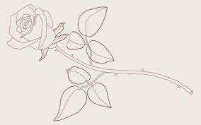 Draw two more petals, like a heart fully encircling the inner petals. How To Draw A Rose A Step By Step Guide 2020 Updated Thought Catalog