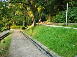Taman persekutuan bukit kiara (gps: Bukit Kiara Park Picture Of Bukit Kiara Park Kuala Lumpur Tripadvisor