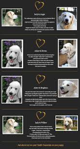 We are located on the kitsap peninsula 14 miles due west of seattle, washington. Puppies