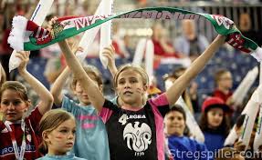 It was started by the hungarian football association, the magyar labdarúgó szövetség, in 1909, eight years after the commencement of the hungarian league, the nemzeti bajnokság. Magyar Kupa Stregspiller