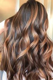 Coloration brune sur cheveux longs. Nouvelle Tendance Coiffures Pour Femme 2017 2018 24 Idees Elegantes Avec Des Points Culminants Pour Les Cheveux Fonces Belles Idees Avec Des Listspirit Com Leading Inspiration Culture Lifestyle Magazine