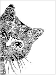 The cat faces pretty much look identical in every drawing, same kind of blank expression, but the intricate backgrounds and strong themes of each sheet make up for that. Free Printable Cat Coloring Pages For Adults Coloring And Drawing