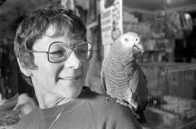 Historiske bilder, Historiske bilder