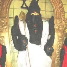 Image result for Afrocanthium pseudorandii