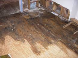 Restoration Construction Waterdamage Flooring Hardwood Hardwood Floors