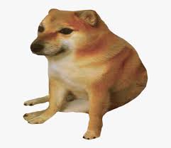 The dogecoin name and shiba inu logo are based on a meme. Cheems Doge Png Transparent Png Transparent Png Image Pngitem