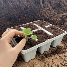 We did not find results for: 6 Cell Recyclable Grey Plastic Plant Tray Pack Of 10 Brookside Nursery