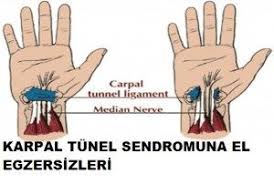 Karpal Tunel Sendromu Icin Egzersiz Nasil Yapilir Carpal Tunnel Karpal Tunel Sendromu Median Sinir