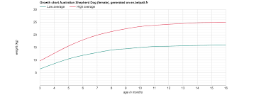 growth chart australian shepherd dog female australian