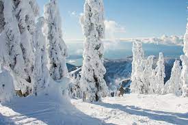 Weather conditions with updates on temperature, humidity, wind speed, snow, pressure, etc. Cypress Mountain On Twitter Couldn T Have Asked For Better Weather Today Wish You Were Here Cypressmountain Northshore Yvr Vancouver Snow Winter Ski Snowboard Https T Co 7wbtnc1buk