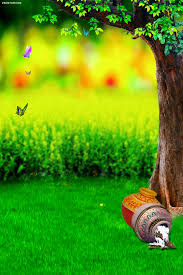 Preview Resize And Download Photoshop Backgrounds Free Photoshop Backgrounds Backdrops Wedding Background Images