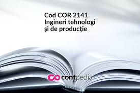 Cod Cor 2141 Ingineri Tehnologi Si De ProducÅ£ie