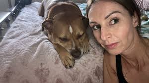 Hi looking for someone to come and look after our 2 dogs Charlie and  Chester lab and Dalmatian both 11 we live cleethorpes (near hull) the dates  are 24.9 until 16.10 anyone