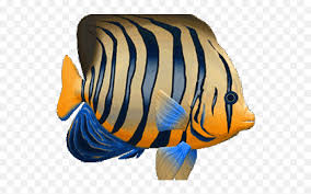 Keep an open mind, surprise clipart. Tropical Fish Clipart 3d Peces Gif Animados Png Coral Reef Fish Fish Clipart Png Free Transparent Png Images Pngaaa Com
