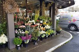 Maybe you would like to learn more about one of these? Sammy S Flowers Explore The Pearl