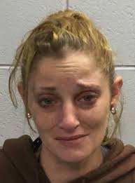 Wareham Police weekend roundup