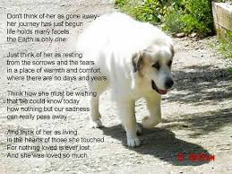 Beautiful Dog Poems Pet Remembrance Dog Quotes Love