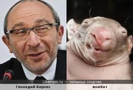 Кернес отказался лишать подозреваемую в сепаратизме коммунистку Александровскую звания "Почетный гражданин Харькова" - Цензор.НЕТ 301