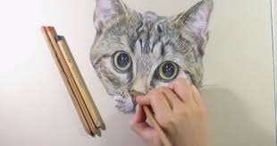Trova una vasta selezione di disegno a quadri a matita a prezzi vantaggiosi su ebay. Disegnare Dipingere Gatti Gattini Gratis Tutti I Tutorial E Consigli Stile Arte