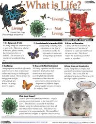 What Is Life Study Guide The Charcteristics Of Life Biology Teacher Teaching Biology What Is Biology