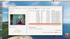 Install Converseen On Ubuntu 16 04 Batch Image Resizer Converter For Linux