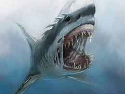 Drawing and coloring the megalodon. Zombie Shark Drawing Novocom Top
