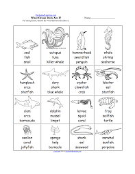 Oceans And Seas At Enchantedlearning Com Kindergarten Names Science Worksheets Third Grade Science Worksheets