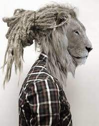 However, that this refers to a human body with a dog head is implied. Very Cool Image Like Rasta Lion Animal Heads Dreads