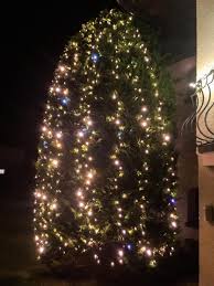 Luci di natale da esterno a le per illuminare le tue feste risparmiando sui consumi energetici. Albero Di Natale Da Esterno Dritte E Consigli Luminal Park