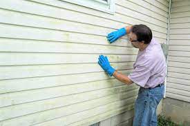 7 Best Vinyl Siding Cleaners 2022 Reviews Oh So Spotless