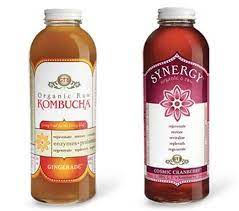 Shake Your Kombucha The Furry Couch