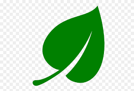 Free shutterstock leef vector download in ai, svg, eps and cdr. Green Leaf Vector Illustration Free Vector Graphics All Free Leaf Vector Png Stunning Free Transparent Png Clipart Images Free Download