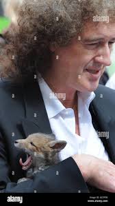 Mid length brian may hi-res stock photography and images