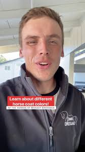 Evan's Horses & Humor creator, Evan Donadt. Here is a brief look at who he  is. I am Evan Donadt. I create wholesome and funny content using my horse  world around me