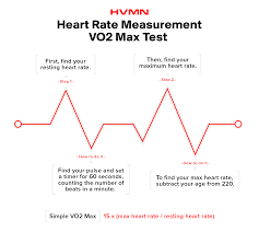 Vo2 Max Training To Use Oxygen Efficiently H V M N Blog