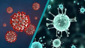 Human influenza a and b viruses cause seasonal epidemics of disease (known as the flu season) almost every winter in the united states. Grippe Vs Covid 19 Die Wichtigsten Antworten Zu Corona Und Influenza Mdr De