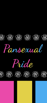 It's where your interests connect you with your people. Pansexual Pride Lock Or Home Wallpaper Pansexual