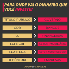 Para Onde Vai O Dinheiro Que Voce Investe Investimentos Rentaveis Gestao E Negocios Financas