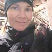 PDF) Proseminaarityö: ”Asperger-piirteet tuovat suunnattoman vahvan  keskittymiskyvyn…” …ja monta muuta vahvuutta korkeakoulutettujen  Asperger-naisten opinpolulle