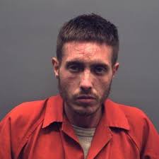 Fugitive arrested after fleeing