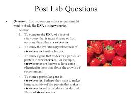 We did not find results for: Strawberry Dna Extraction Zimer
