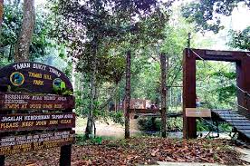 We did not find results for: 5 National Parks You Must Visit In Malaysia Travel Food Lifestyle Blog