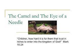 The definition of needle is: Camel Project By Alyssa B Facts Every Year In Saudi Arabia There Is A Beauty Contest To Select The Prettiest Arabian Camel Judges Look At The Following Ppt Download
