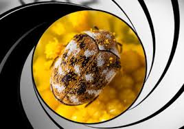 Effectively removing an entire population of pests on your property is not easy. Carpet Beetle Control San Diego License To Kill Pest Control Of San Diego