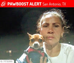 Lost catahoula leopard dog Chickenhawk found in Paulden