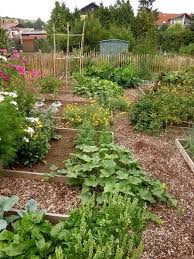 Mein Garten Vorher Und Nachher Wildes Gartenherz In 2020 Garten Garten Pflanzen Naturgarten