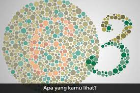 Tes buta warna adalah tes untuk melihat kemampuan mata seseorang ketika melihat objek yang berwarna mengalami kebutaan atau tidak. Bisakah Kamu Menyelesaikan Tes Buta Warna Ini