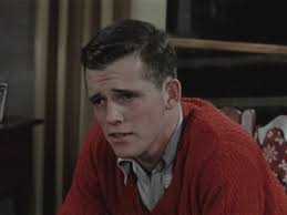 Documents regarding alcoholic liquors and prostitution in the neighborhood  of military camps and naval stations.