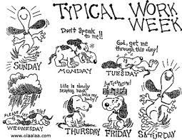 I work out monday, tuesday, wednesday; Crazy Tuesday Funny Work Quotes Quotesgram